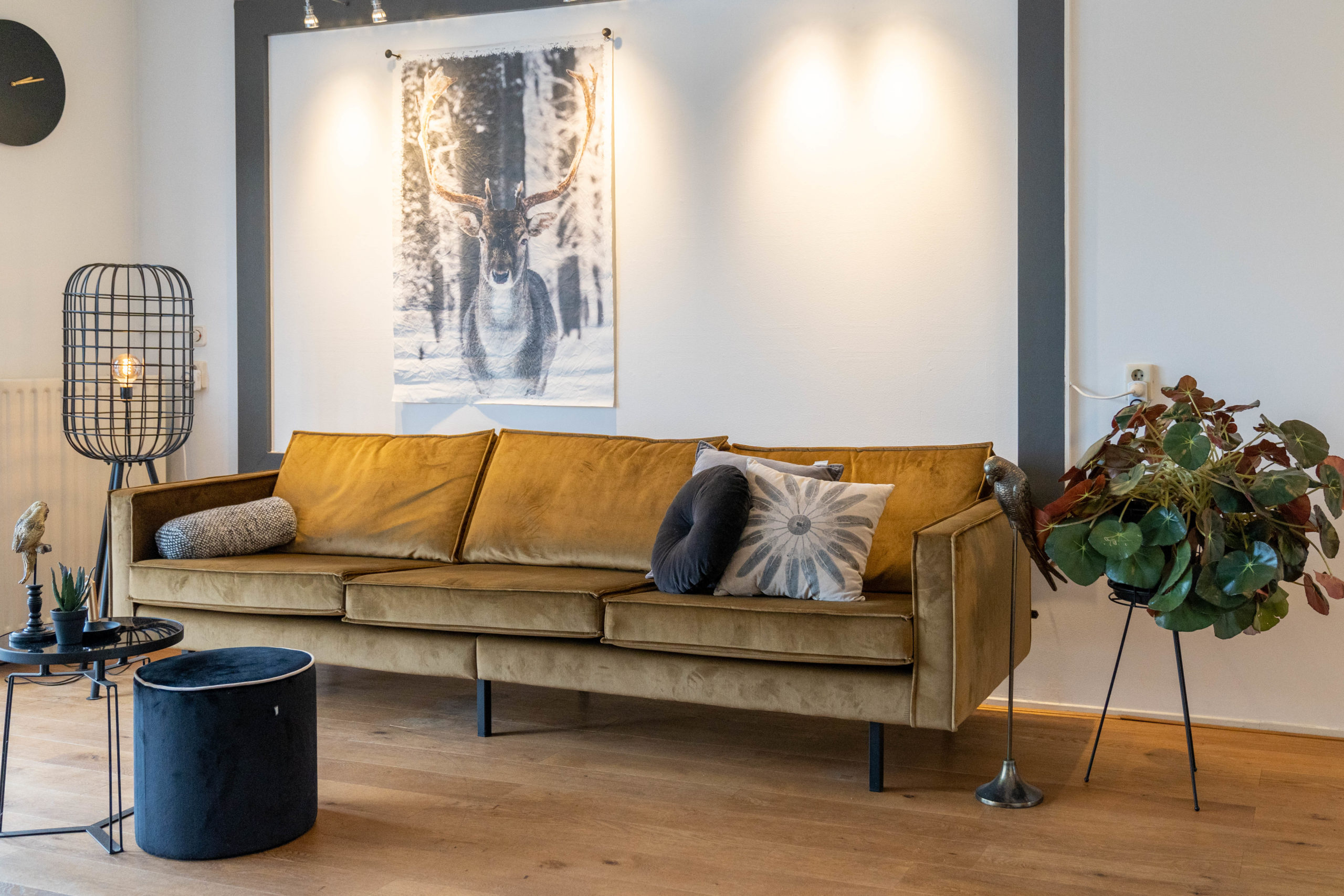 Vesta Makelaars campagne 51
